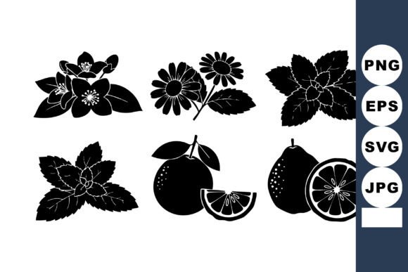 Black Silhouette Citrus Vector Set for Crafts and Graphics